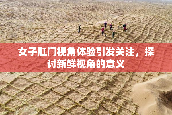 女子肛门视角体验引发关注，探讨新鲜视角的意义