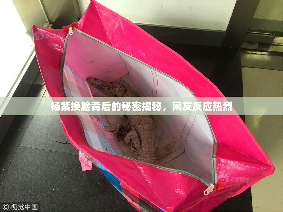 杨紫换脸背后的秘密揭秘，网友反应热烈