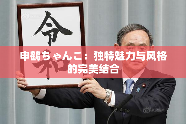 申鹤ちゃんこ：独特魅力与风格的完美结合
