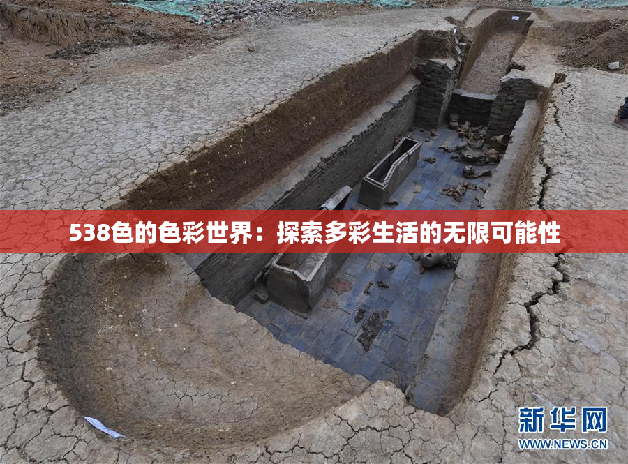 538色的色彩世界：探索多彩生活的无限可能性