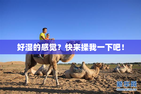 好湿的感觉？快来揉我一下吧！