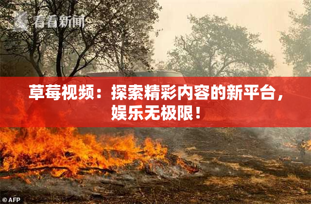 草莓视频：探索精彩内容的新平台，娱乐无极限！