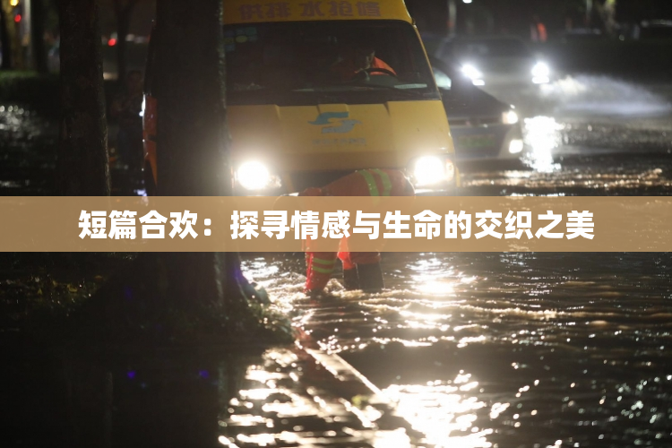 短篇合欢：探寻情感与生命的交织之美