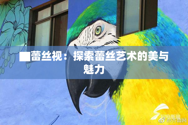▇蕾丝视：探索蕾丝艺术的美与魅力