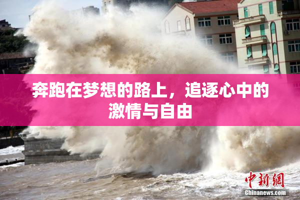 奔跑在梦想的路上，追逐心中的激情与自由