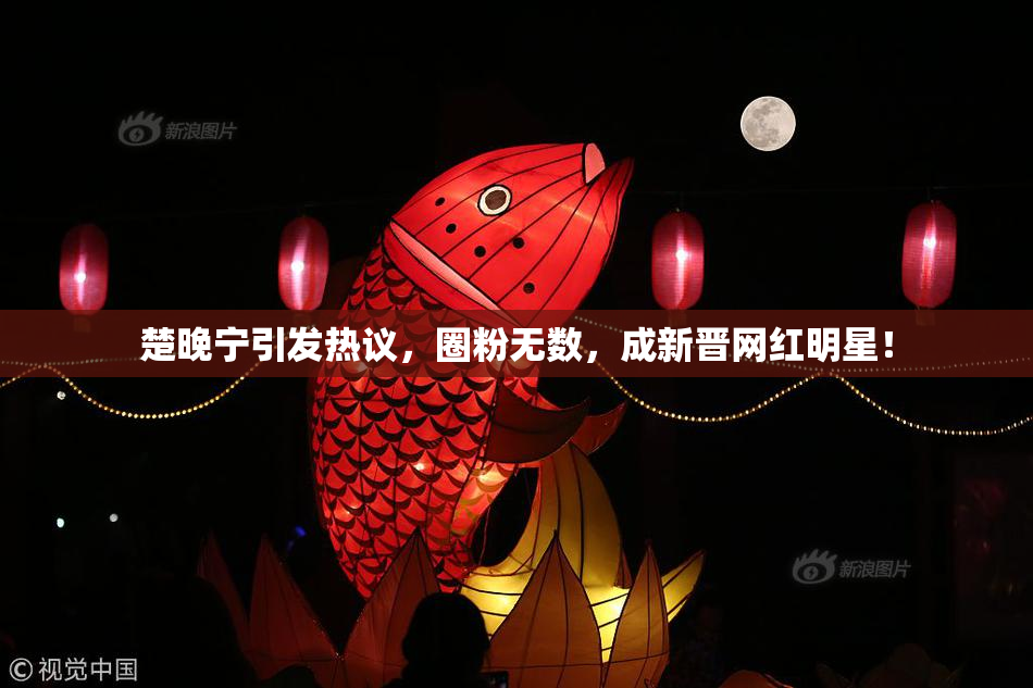 楚晚宁引发热议，圈粉无数，成新晋网红明星！