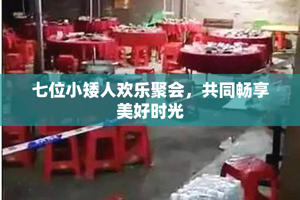 七位小矮人欢乐聚会，共同畅享美好时光