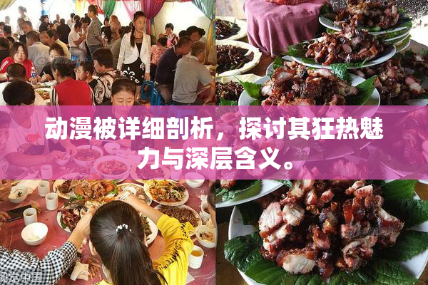 动漫被详细剖析，探讨其狂热魅力与深层含义。