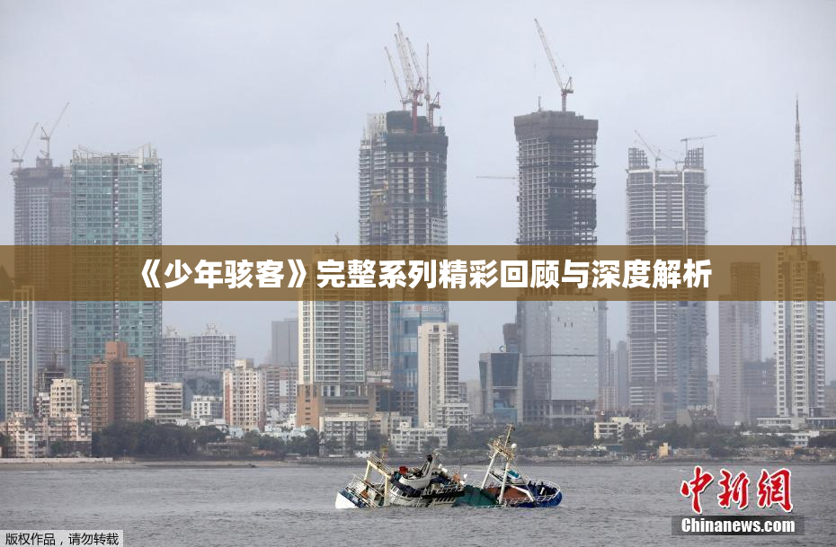 《少年骇客》完整系列精彩回顾与深度解析