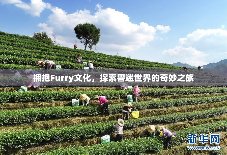 拥抱Furry文化，探索兽迷世界的奇妙之旅