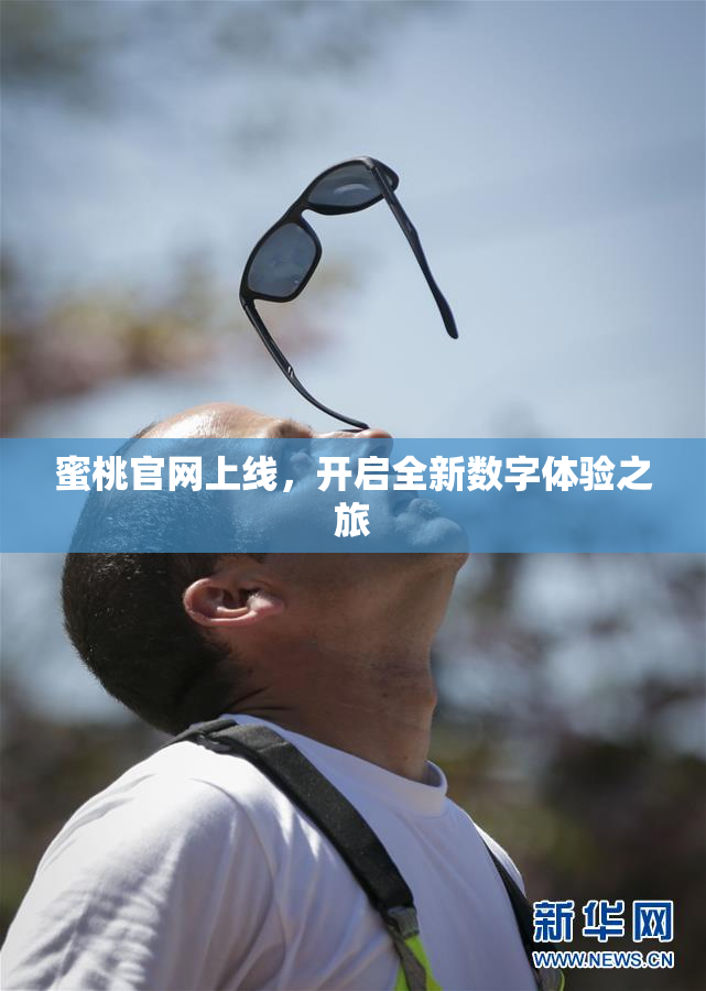 蜜桃官网上线，开启全新数字体验之旅