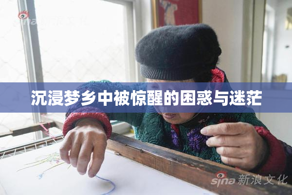 沉浸梦乡中被惊醒的困惑与迷茫