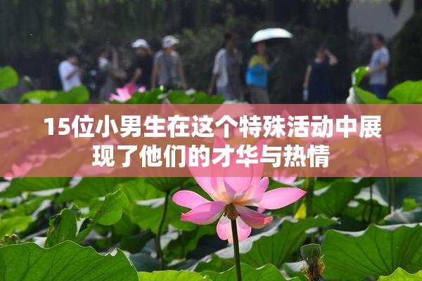 15位小男生在这个特殊活动中展现了他们的才华与热情