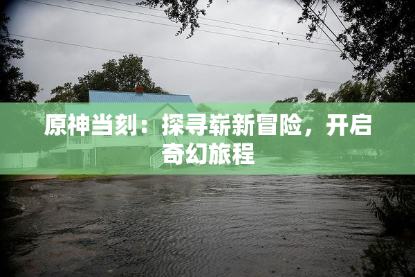 原神当刻：探寻崭新冒险，开启奇幻旅程