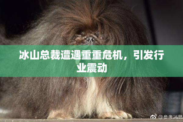 冰山总裁遭遇重重危机，引发行业震动