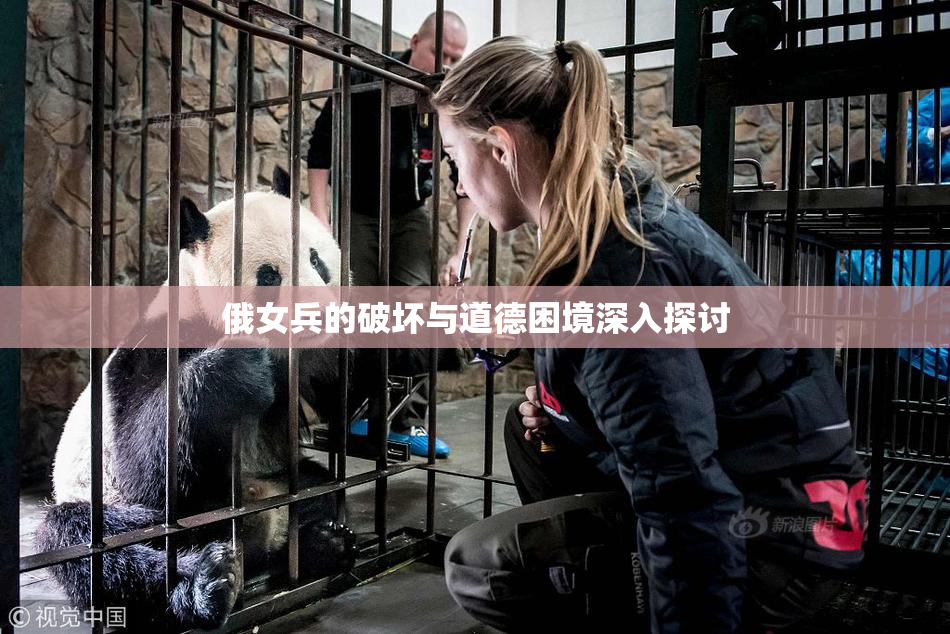 俄女兵的破坏与道德困境深入探讨