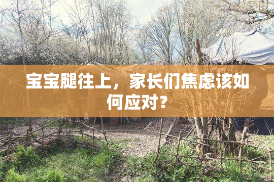 宝宝腿往上，家长们焦虑该如何应对？