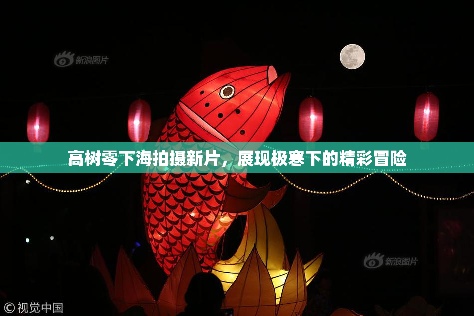 高树零下海拍摄新片，展现极寒下的精彩冒险
