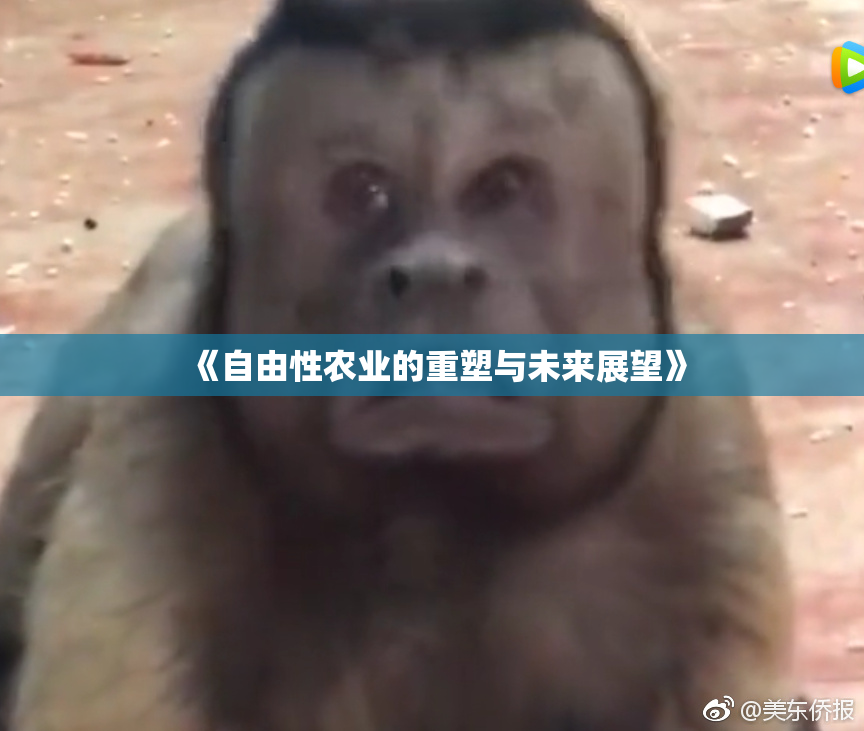 《自由性农业的重塑与未来展望》