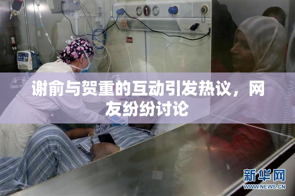 谢俞与贺重的互动引发热议，网友纷纷讨论