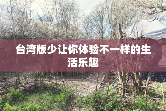 台湾版少让你体验不一样的生活乐趣