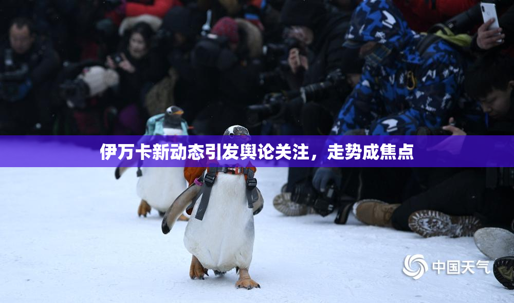 伊万卡新动态引发舆论关注，走势成焦点