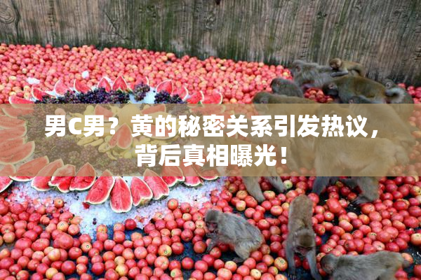 男C男？黄的秘密关系引发热议，背后真相曝光！