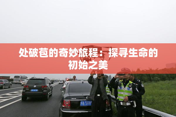 处破苞的奇妙旅程：探寻生命的初始之美