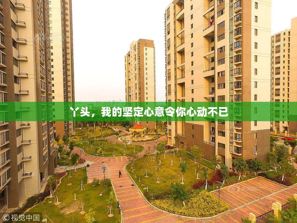 丫头，我的坚定心意令你心动不已