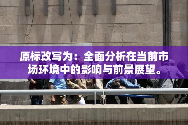 原标改写为：全面分析在当前市场环境中的影响与前景展望。