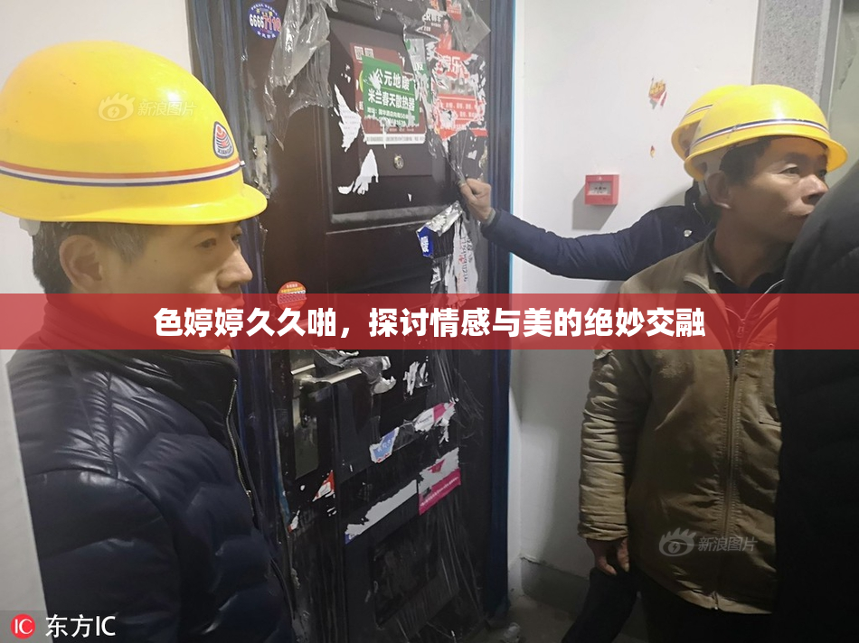 色婷婷久久啪，探讨情感与美的绝妙交融