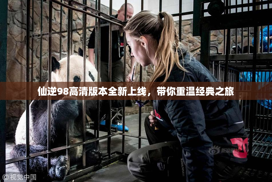 仙逆98高清版本全新上线，带你重温经典之旅