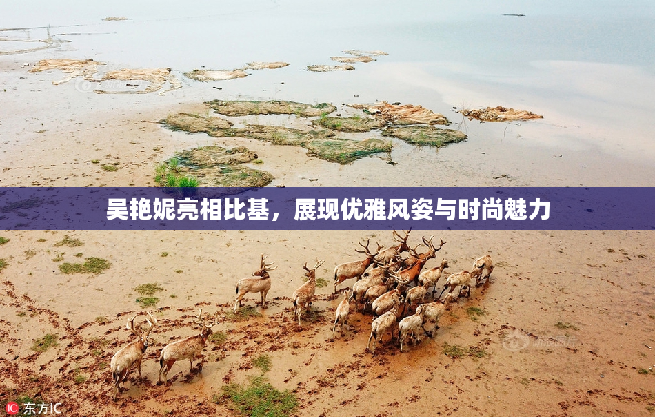吴艳妮亮相比基，展现优雅风姿与时尚魅力
