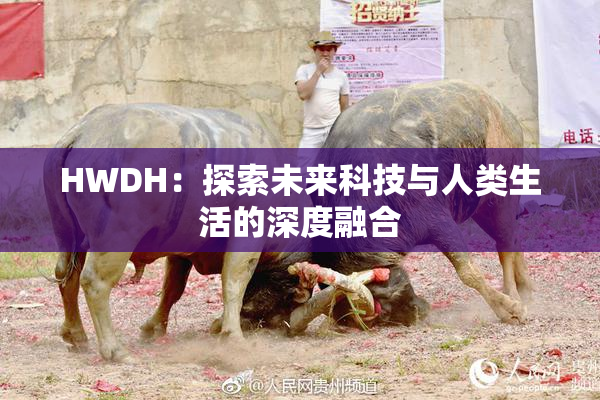 HWDH：探索未来科技与人类生活的深度融合