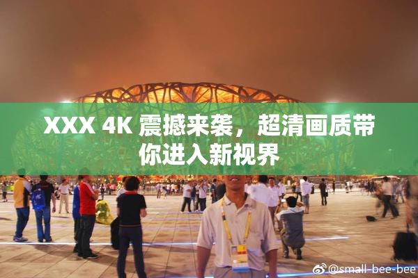 XXX 4K 震撼来袭，超清画质带你进入新视界