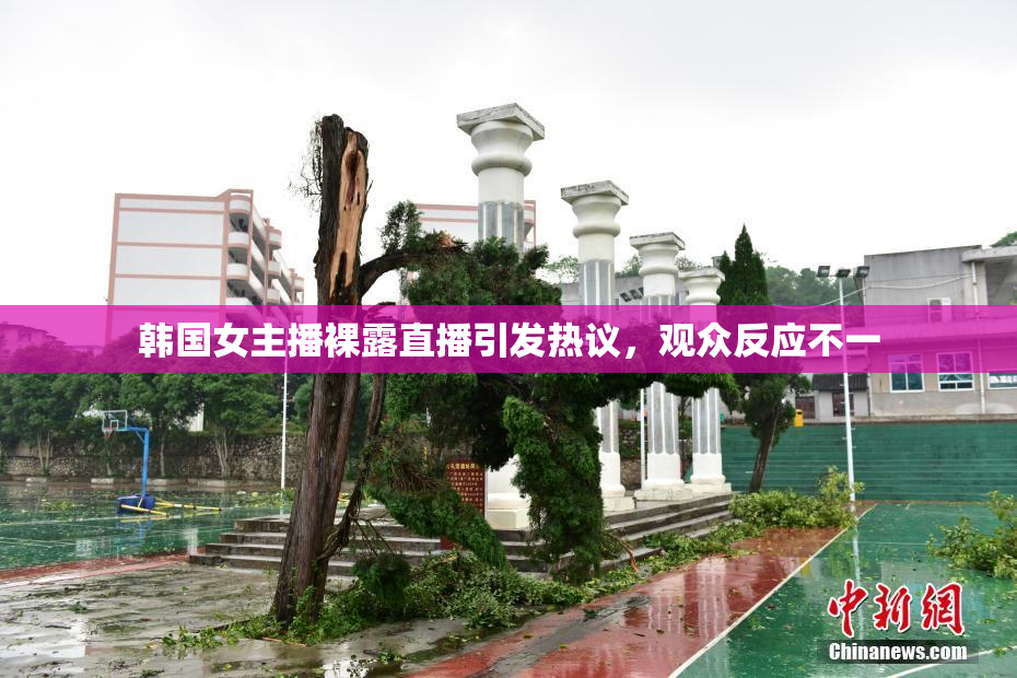 韩国女主播裸露直播引发热议，观众反应不一