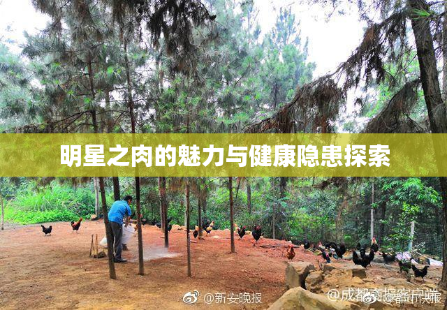 明星之肉的魅力与健康隐患探索