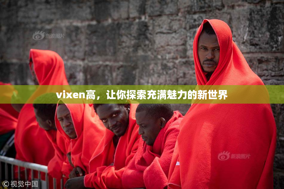vixen高，让你探索充满魅力的新世界