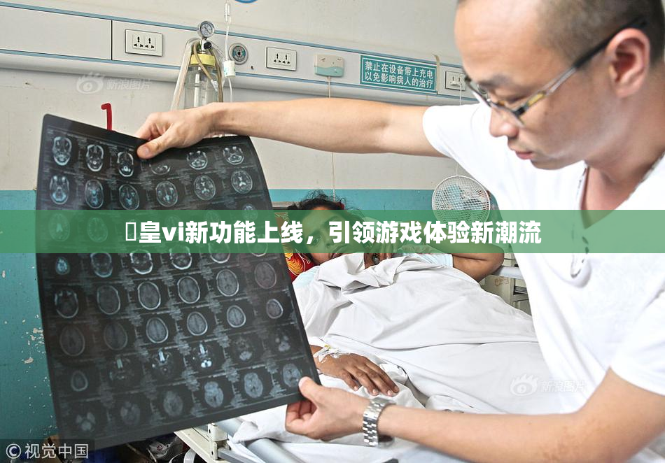 嘼皇vi新功能上线，引领游戏体验新潮流