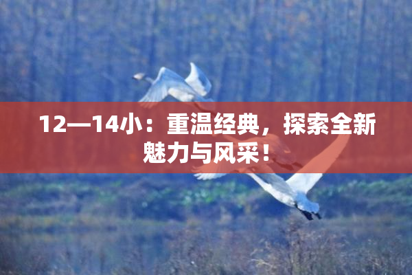 12—14小：重温经典，探索全新魅力与风采！