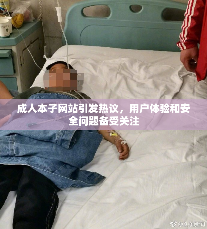 成人本子网站引发热议，用户体验和安全问题备受关注