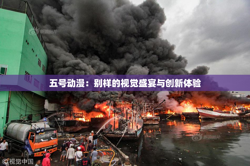 五号动漫：别样的视觉盛宴与创新体验