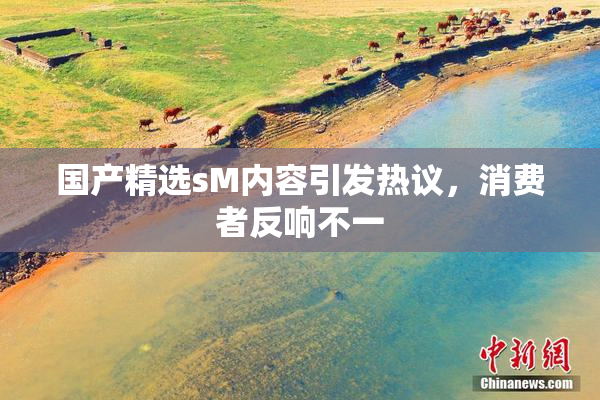 国产精选sM内容引发热议，消费者反响不一