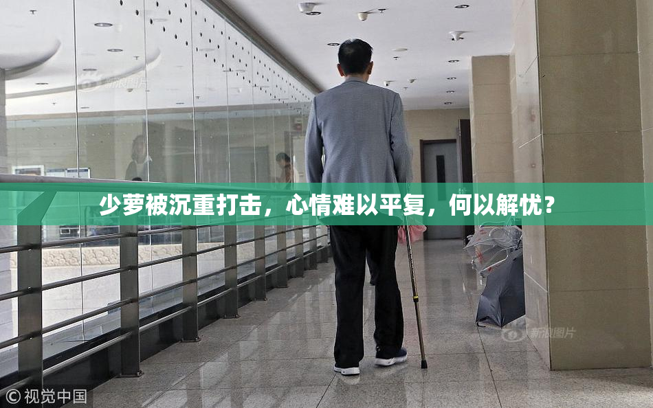 少萝被沉重打击，心情难以平复，何以解忧？