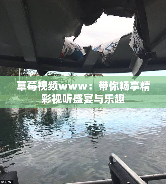 草莓视频www：带你畅享精彩视听盛宴与乐趣