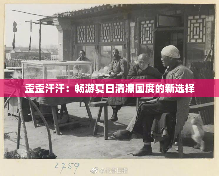歪歪汗汗：畅游夏日清凉国度的新选择