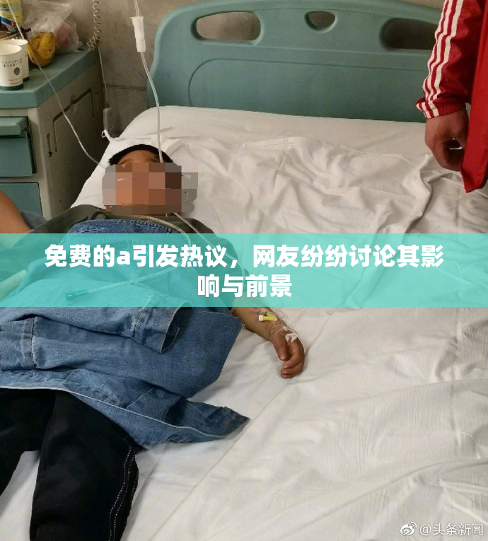免费的a引发热议，网友纷纷讨论其影响与前景
