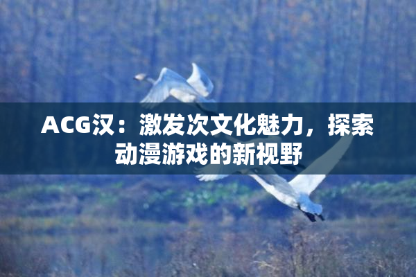 ACG汉：激发次文化魅力，探索动漫游戏的新视野