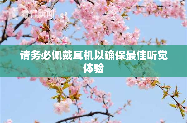 请务必佩戴耳机以确保最佳听觉体验