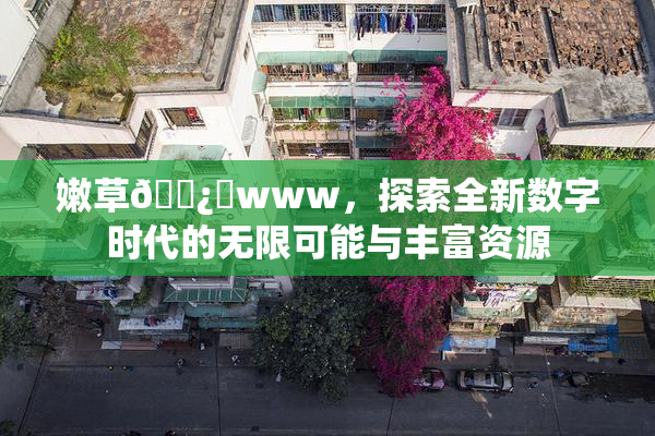 嫩草🌿‌www，探索全新数字时代的无限可能与丰富资源